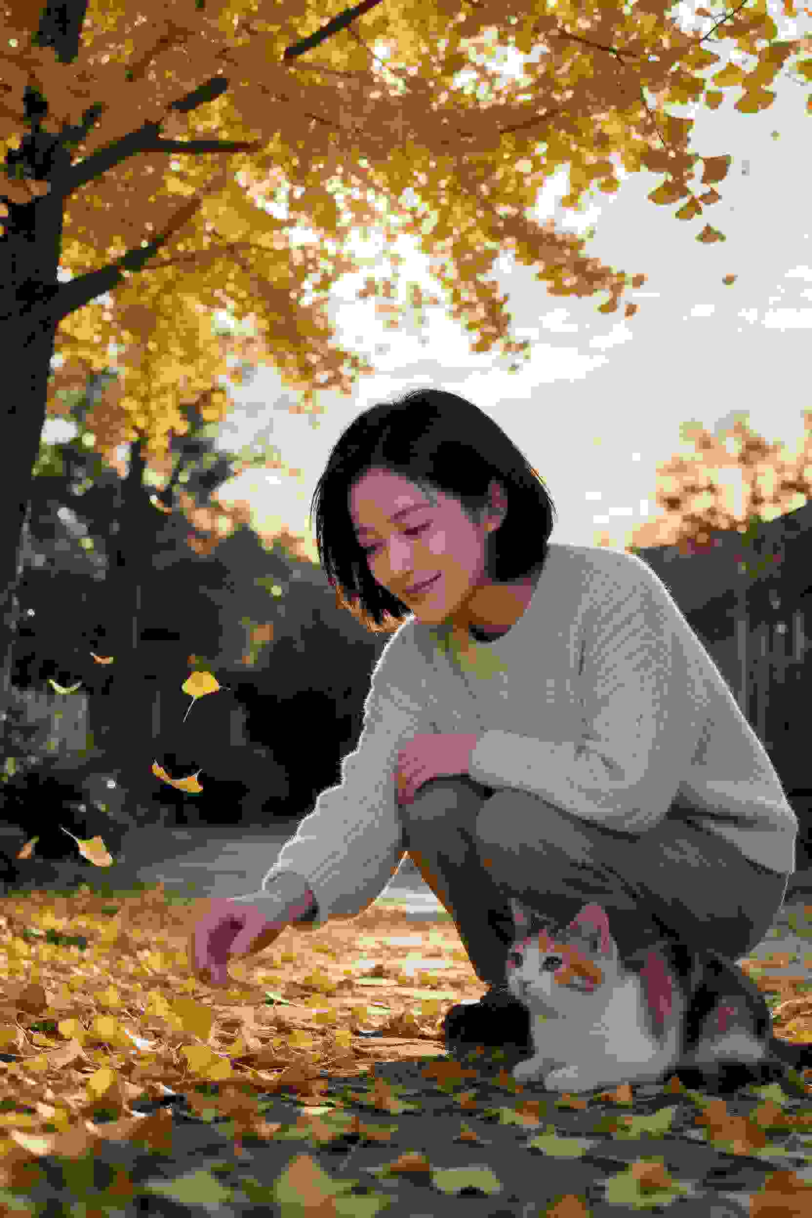 高校青春剧